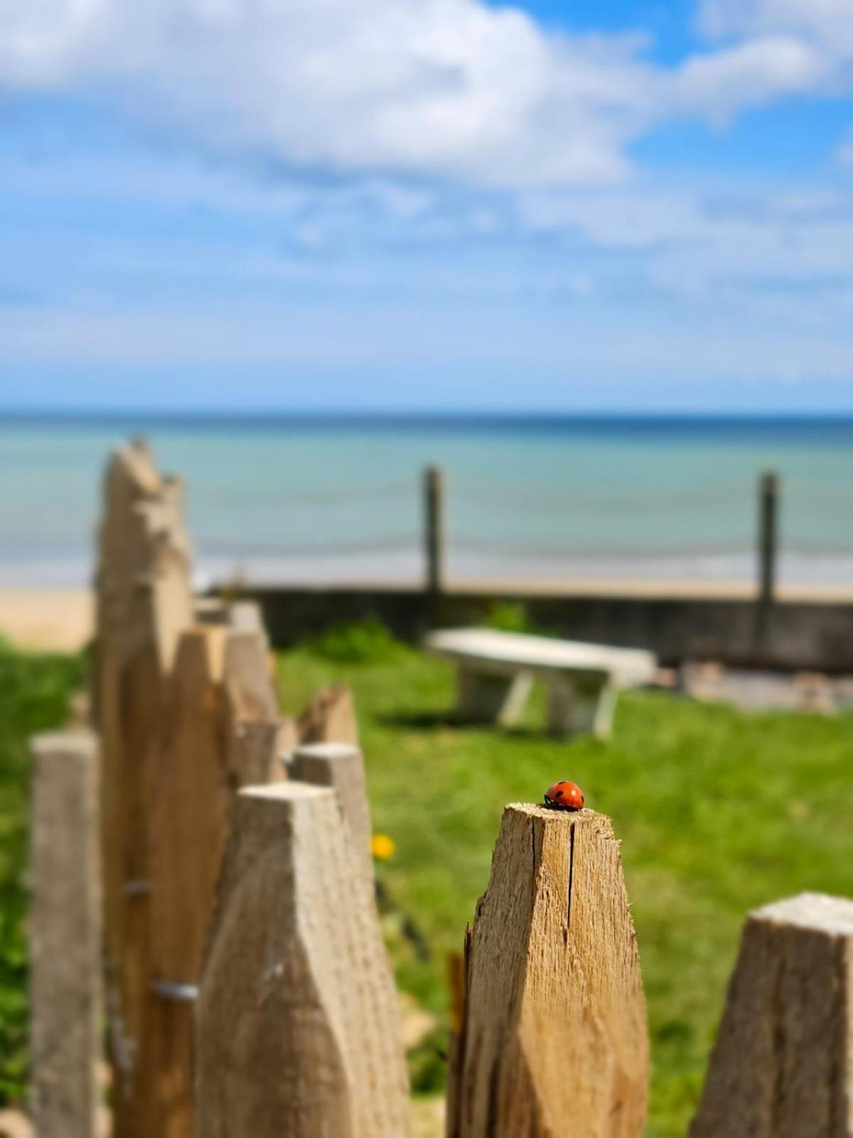 Entre Ciel Et Mer Luc-sur-Mer ภายนอก รูปภาพ