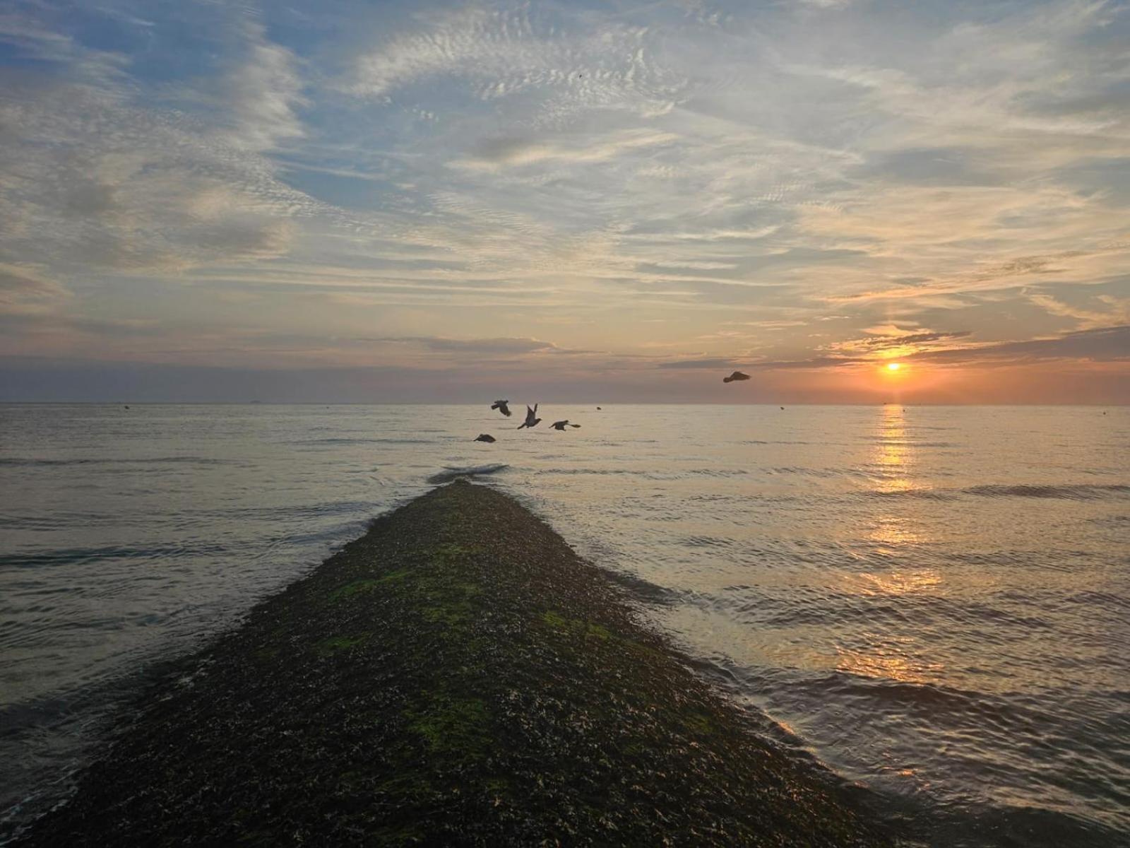 Entre Ciel Et Mer Luc-sur-Mer ภายนอก รูปภาพ